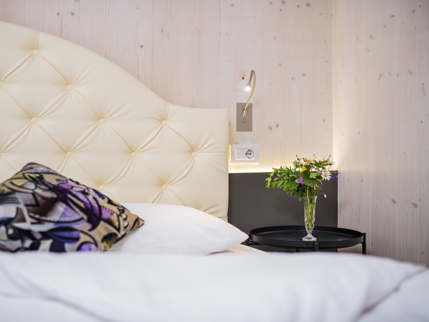 Camera Mountainhome3